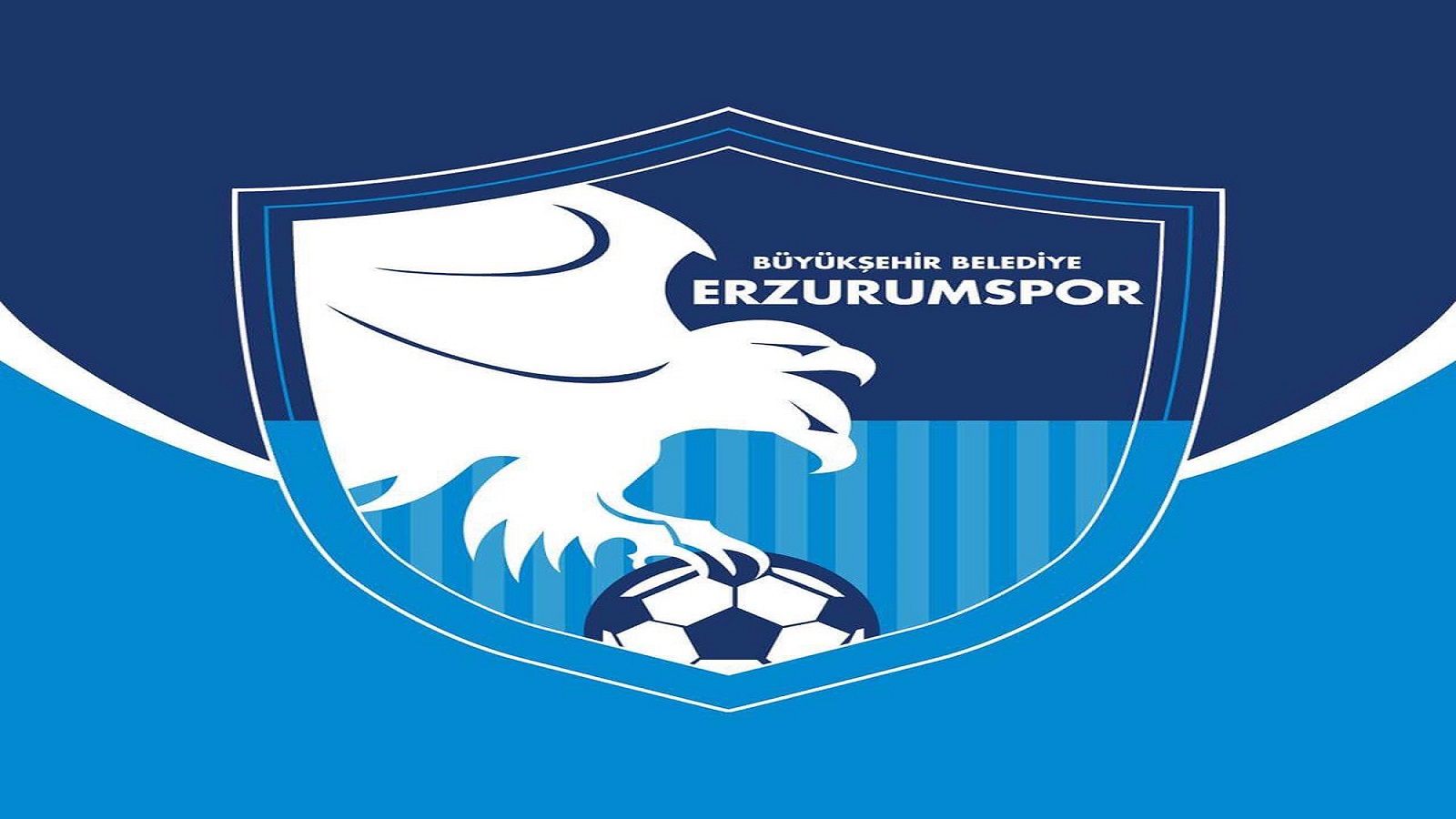 Erzurum Spor Logo